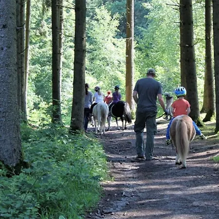 Ponyferienhof Eder Διαμέρισμα Hengersberg