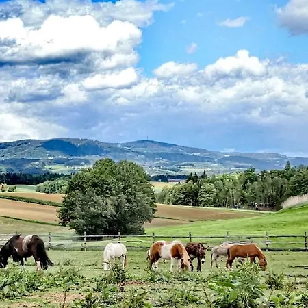 Διαμέρισμα Ponyferienhof Eder